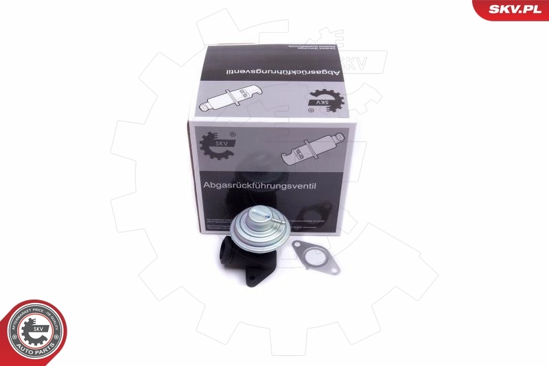 EGR Valve